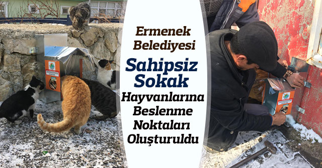 Sahipsiz Sokak Hayvanlarına Beslenme Noktaları Oluşturuldu Karamanın Sesi