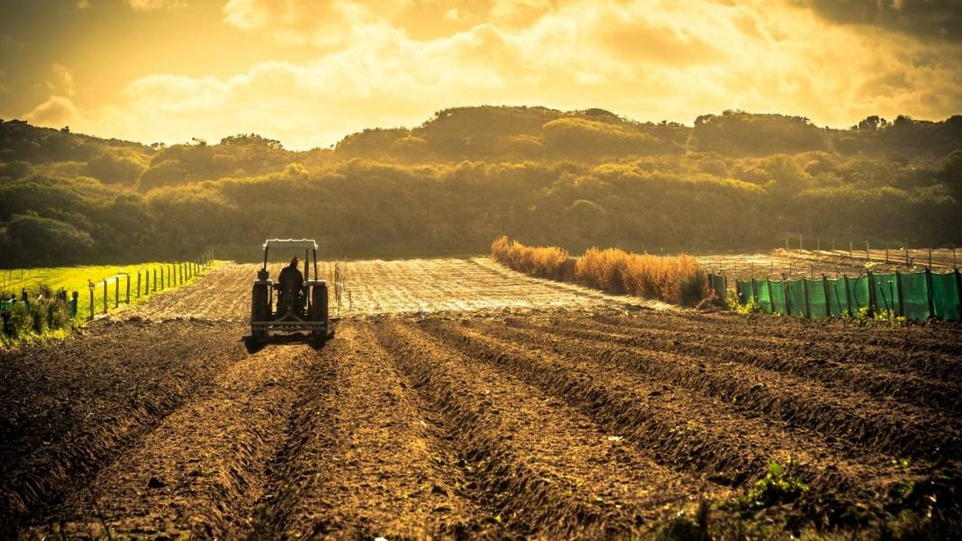 Çiftçilere Tohum Desteği! Yüzde 75 Hibeli Verilecek 2