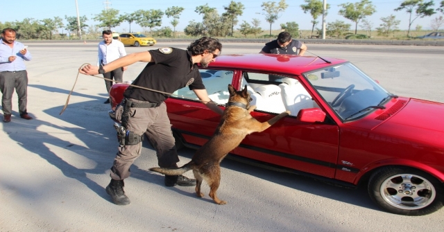 Narkotik Köpeği Oscar Bayram Mesaisinde