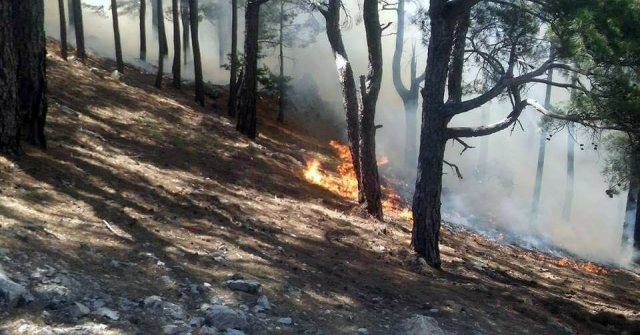 Anamurdaki Orman Yangını Devam Ediyor, Evler Boşaltıldı