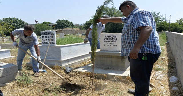 Talep Şanlıurfadan Hizmet Mersin Büyükşehir Belediyesinden