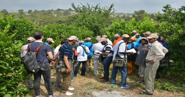 Afrikalı Ormancılara Türkiyedeki Ormancılık Faaliyetleri Anlatıldı