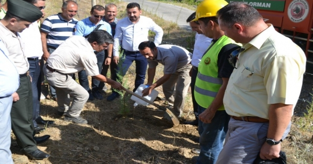 Bozyazıda 15 Temmuz Şehitleri Anısına Hatıra Ormanı Oluşturuldu