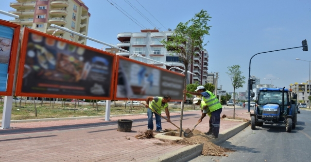 Mersinde Kesilen Ağaçların Yerine Yenileri Dikildi