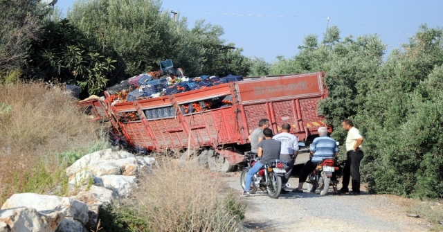 Domates Yüklü Kamyon Taş Duvara Çarptı: 1 Yaralı