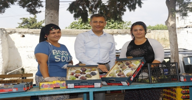 Başkan Pamuk, Bağlarbaşında Vatandaşla Buluştu