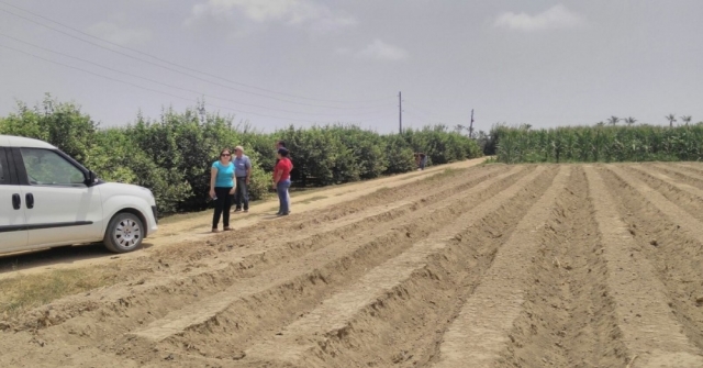 Mersinin Çilek Üretiminde Sloganı ‘Temiz Fide, Temiz Toprak