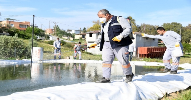 Mersinde Haşere İle Mücadele Çalışmaları Sürüyor