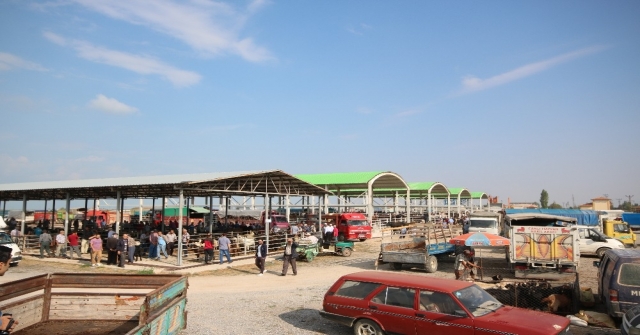 Beyşehirde Hayvan Pazarında Hazırlıklar Tamamlandı