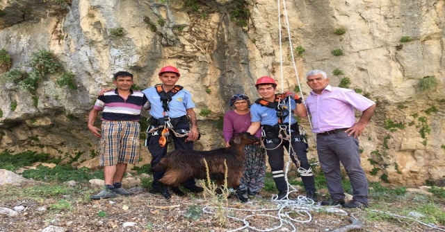 Dağda Mahsur Kalan Keçiyi İtfaiye Kurtardı