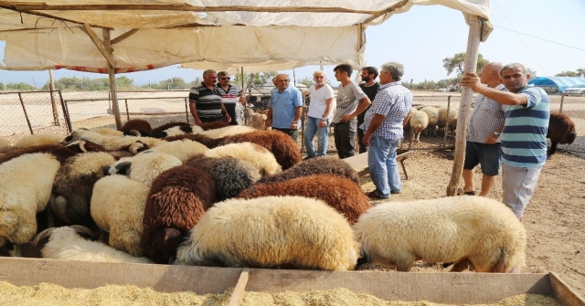 Mezitli Belediyesi Kurban Bayramına Hazır