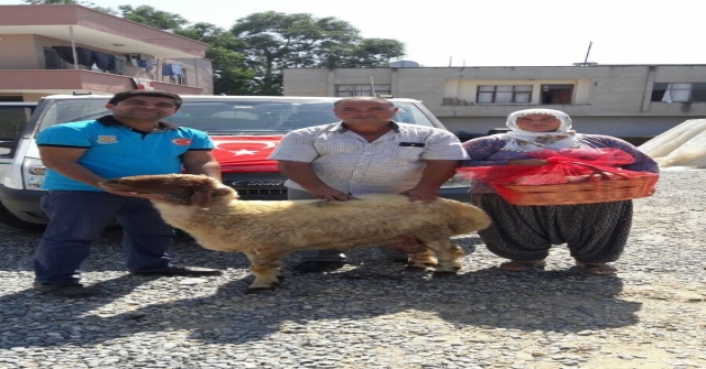 Tarsus Belediyesi 68 Şehit Ailesine Kurban Dağıttı