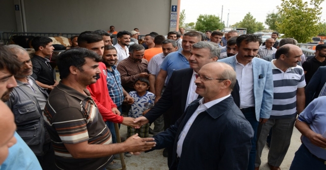 Türkiyenin En Modern Hayvan Pazarında Bayram Yoğunluğu