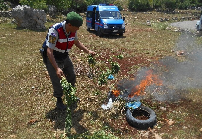 Mersin’de Uyuşturucu Operasyonu