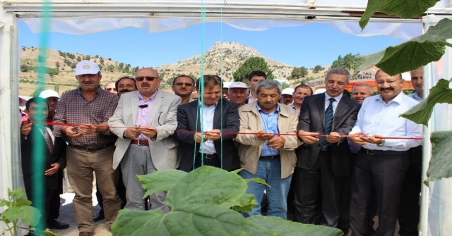 Sarıvelilerde “Yaz Seracılığı” Projesi