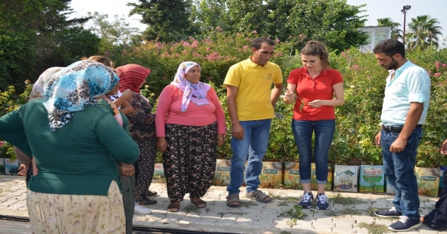 Gül Yetiştiriciliğ Kursu Sona Erdi