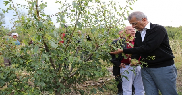 Başkan Tarhandan Şeftali Üreticisine Destek