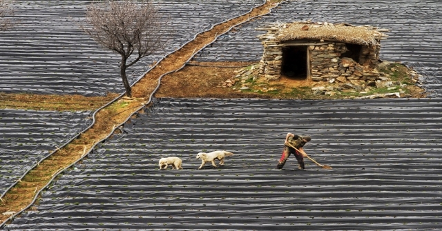 Konyalı Fotoğrafçıya, Uluslararası Fotoğraf Yarışmasında Birincilik Ödülü