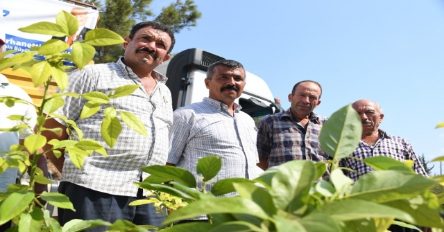 Mersinde Belediyeden Üreticiye Tropik Destek