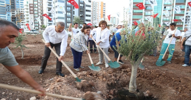 Mezitlinin Zeytinli Caddesi Zeytin Fidenlarıyla Donatıldı