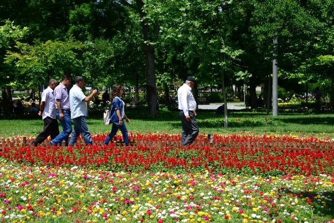 Konya Büyükşehir Şehri Güllerle Donattı