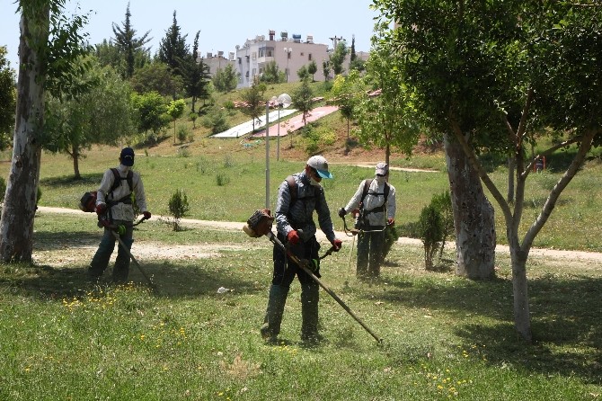 Toroslar’da Park Ve Yeşil Alanların Bakım Çalışmaları Hızlandı