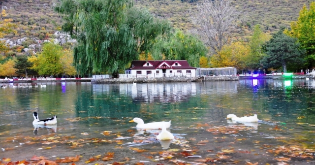 Seydişehir Kuğulu Parkta Kartpostallık Görüntüler