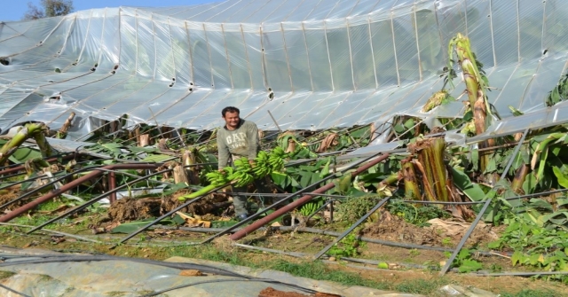 Hortum, Bozyazıda Muz Seralarını Yıktı