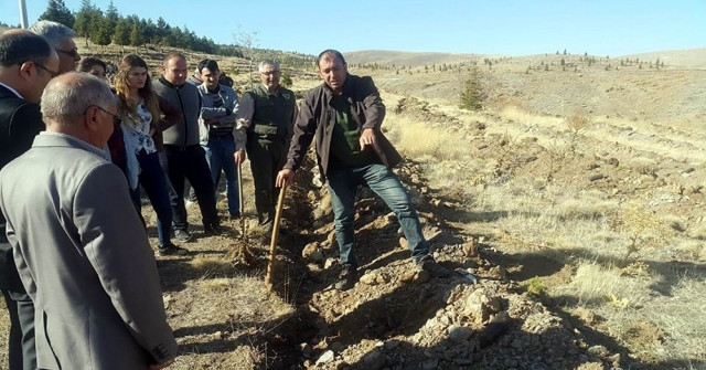 Yunakta Bin Adet Fidan Toprakla Buluşturuldu