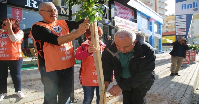 Erdemli Yeşilleniyor