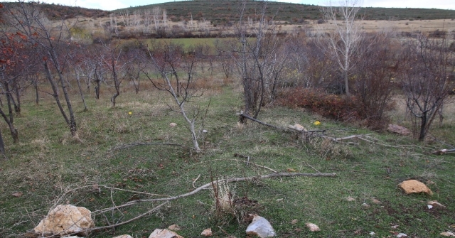 Konyada Hayvan Otlatma Yeri Kavgası: 1 Ölü, 1 Yaralı