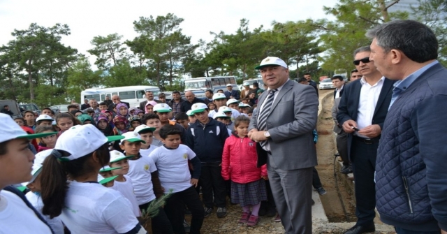 Bozyazıda Öğretmenler Hatıra Ormanı Oluşturdu