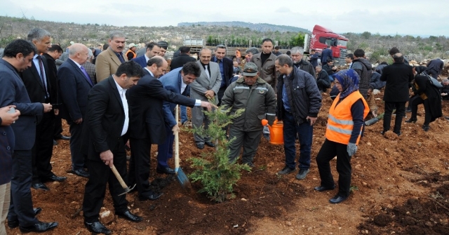 Erdemlide Öğretmenlerin De Hatıra Ormanı Var