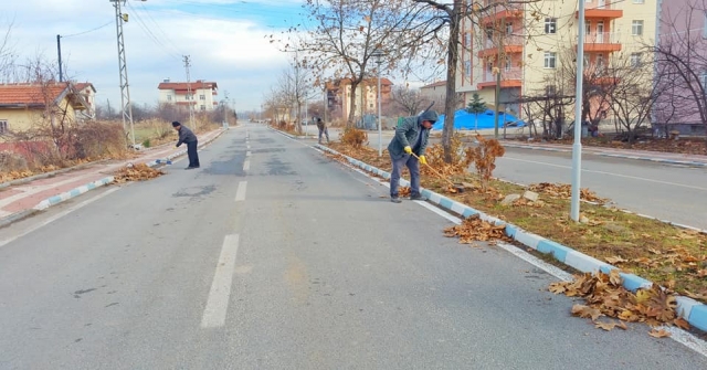 Beyşehirde Yaprak Temizliği Mesaisi Sürüyor