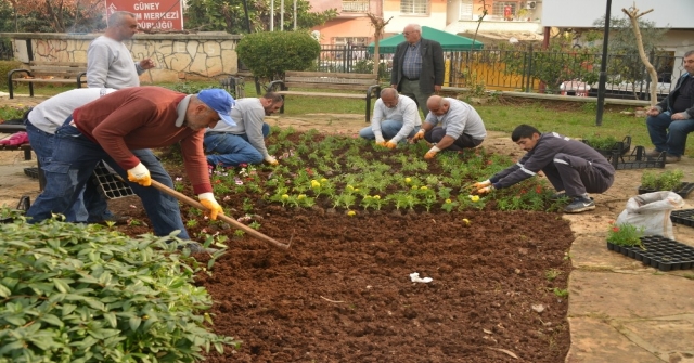 Akdenizde Parklar Çiçek Bahçesine Döndü