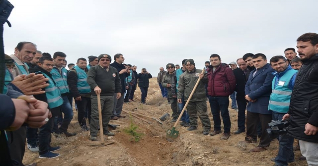 Karamanda Denetimli Serbestlik Hükümlüleri Fidan Dikti