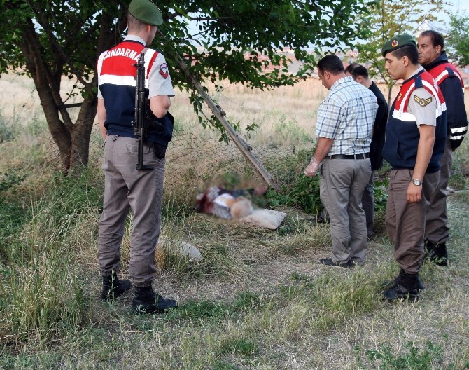 Taşlama Makinesiyle Budama Yaparken Kendisini Kesip Öldü