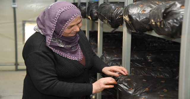 Mersin Büyükşehir Belediyesinden Üreticiye Destek