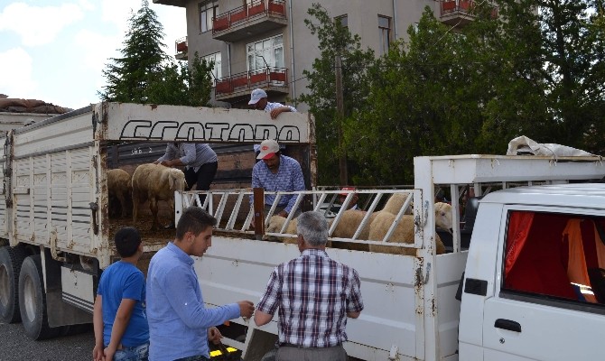 Kulu’da Hibe Destekli 47 Koç Dağıtıldı