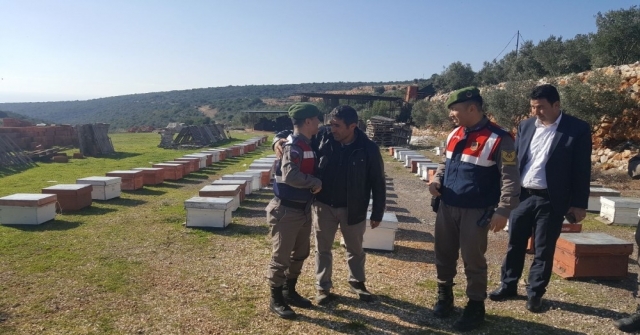 Çalınan Arı Kovanları Arazide Bulundu