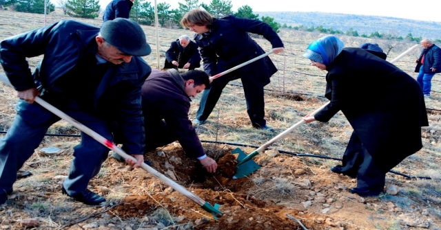 Meramda Yeşil Alan Çalışmaları