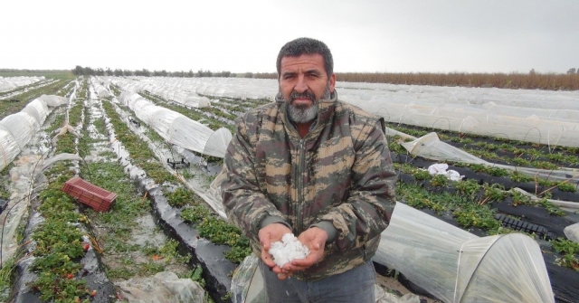 Mersinde Dolu, Sera Ve Bahçelere Zarar Verdi