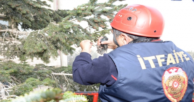 Ayağına İp Dolanan Kuşu İtfaiye Kurtardı