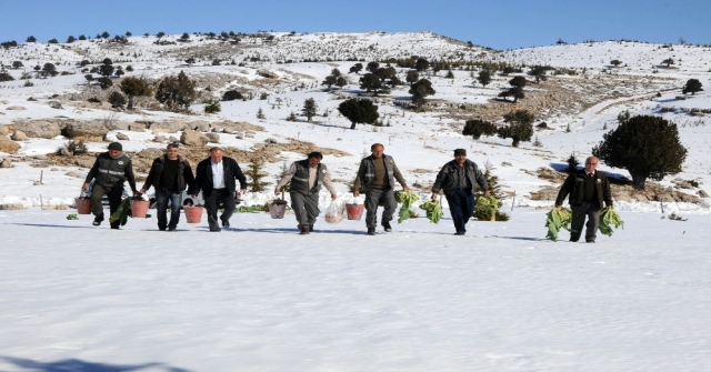 Torosların Zirvesine Yaban Hayvanları İçin Yem Bırakıldı