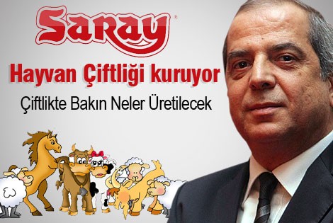 Saray Holding Hayvan Çiftliği Kuruyor