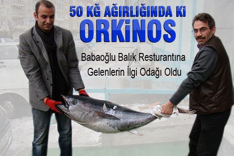 50 Kiloluk Orkinos Müşterilerin ilgi odağı oldu