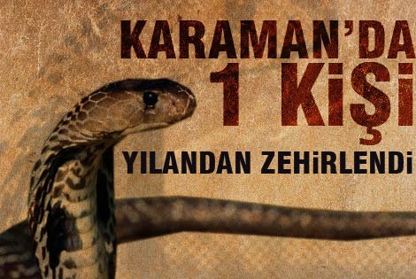 Karamanʹda 1 Kişi Yılandan Zehirlendi