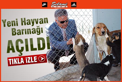 Karaman’da Sokak Köpekleri İçin Barınak