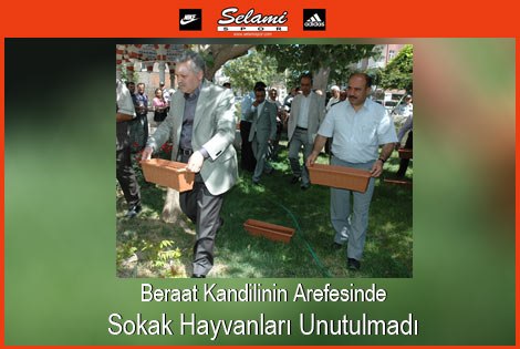 Sokak Hayvanlarına Su Bırakma Kampanyası