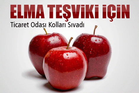 Ticaret Odası Elmaya Teşviki Masaya Yatırdı